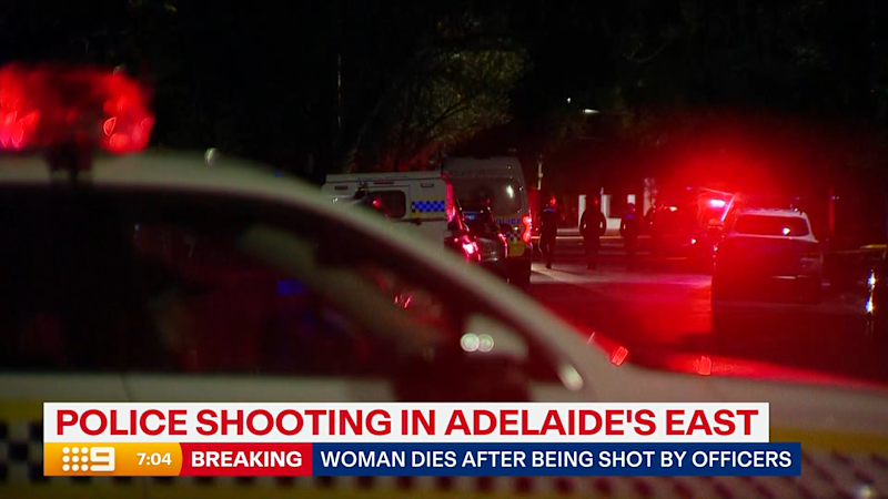 Police shoot dead woman after she allegedly threatened them with axe