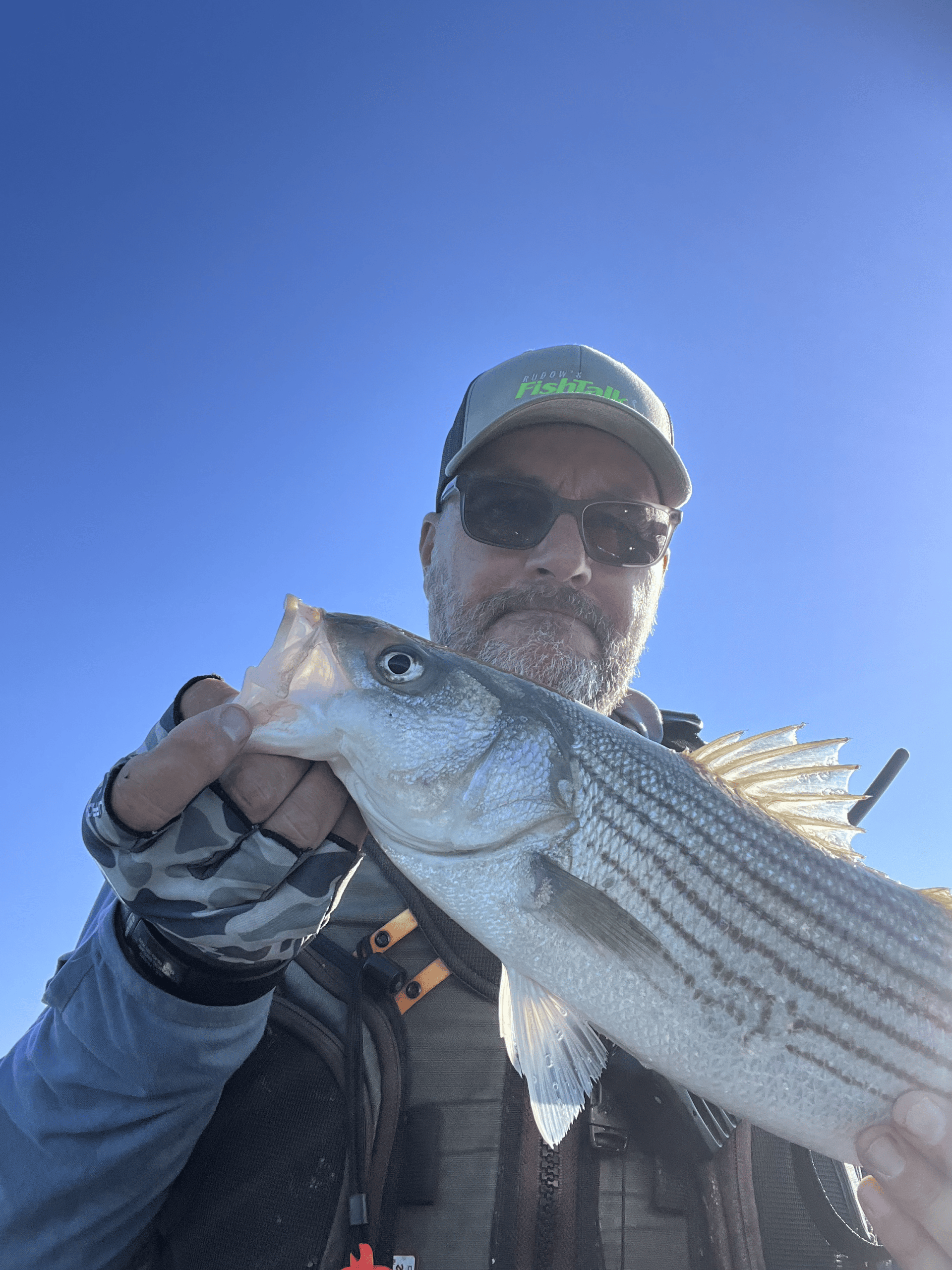 Cold snap pushes spot, blues south; rockfish take over