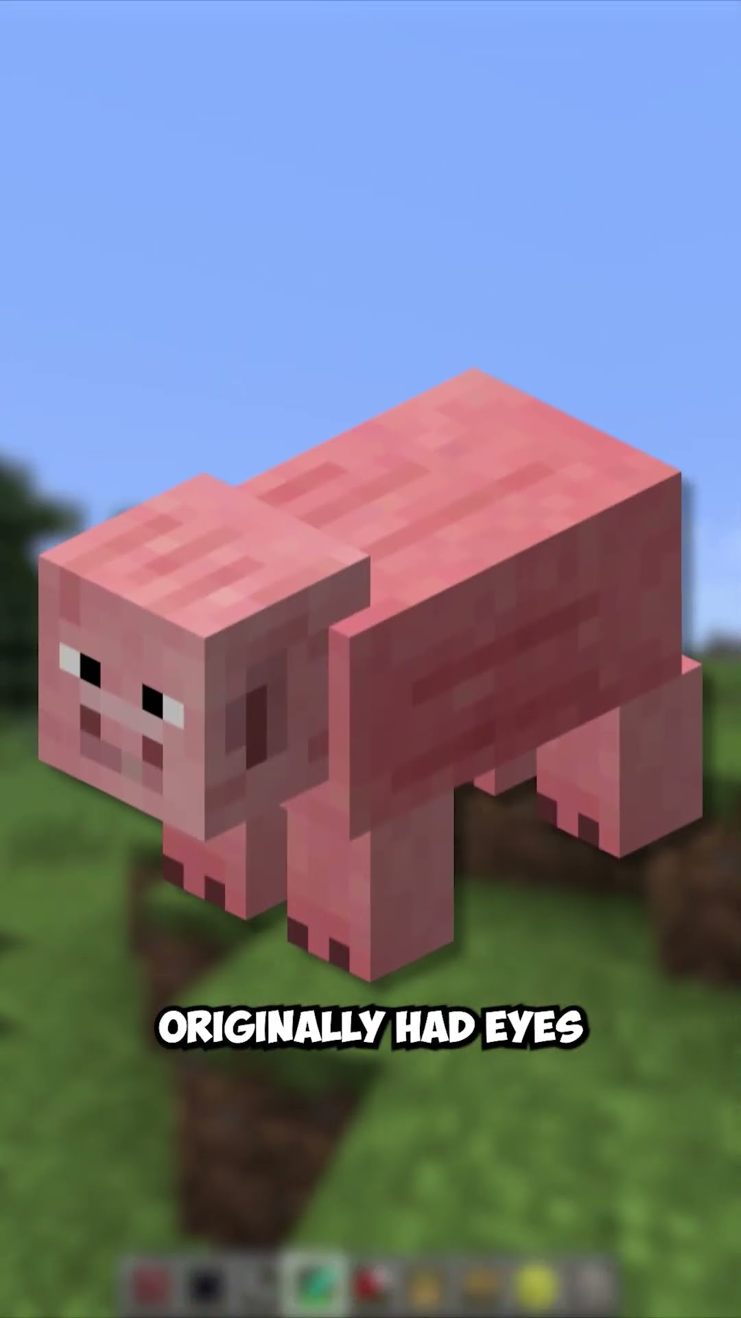minecraft's original pigs design