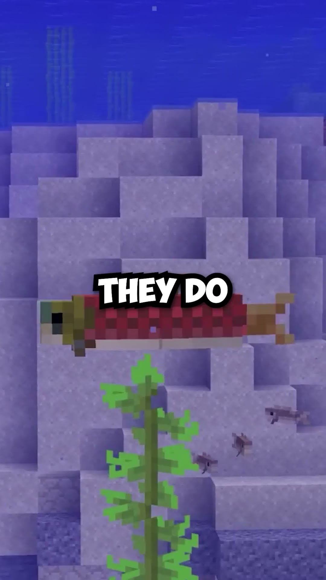 Easiest Minecraft food: finding salmon