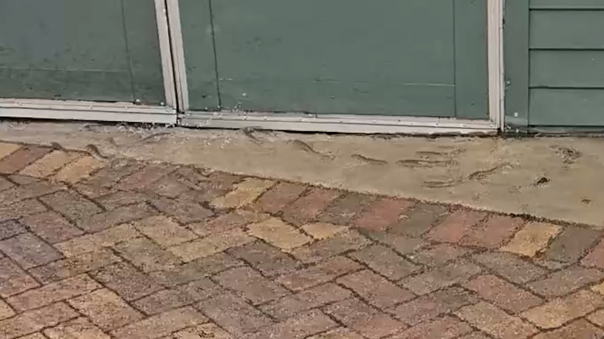 Fish swim across Fort Lauderdale driveway as king tides flood Florida