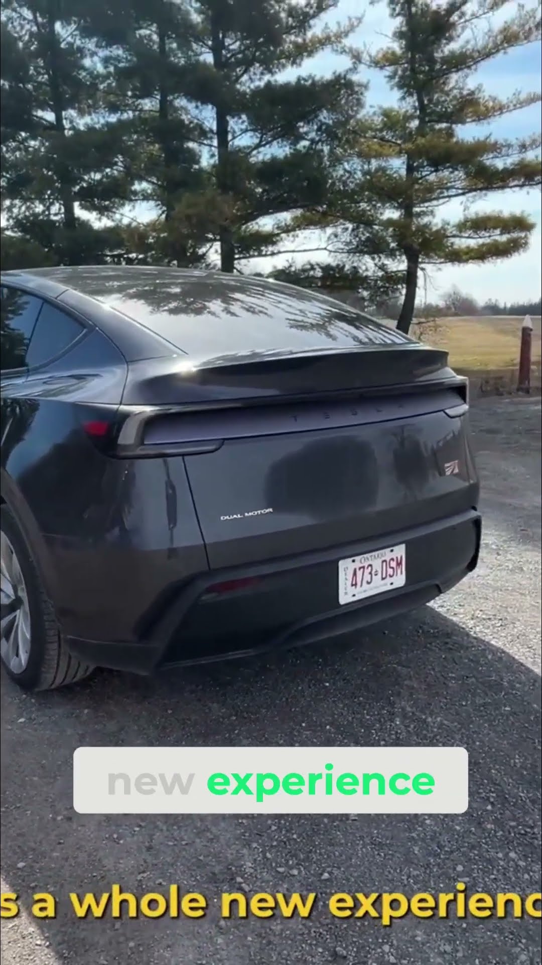Surprising Tesla features new owners should know