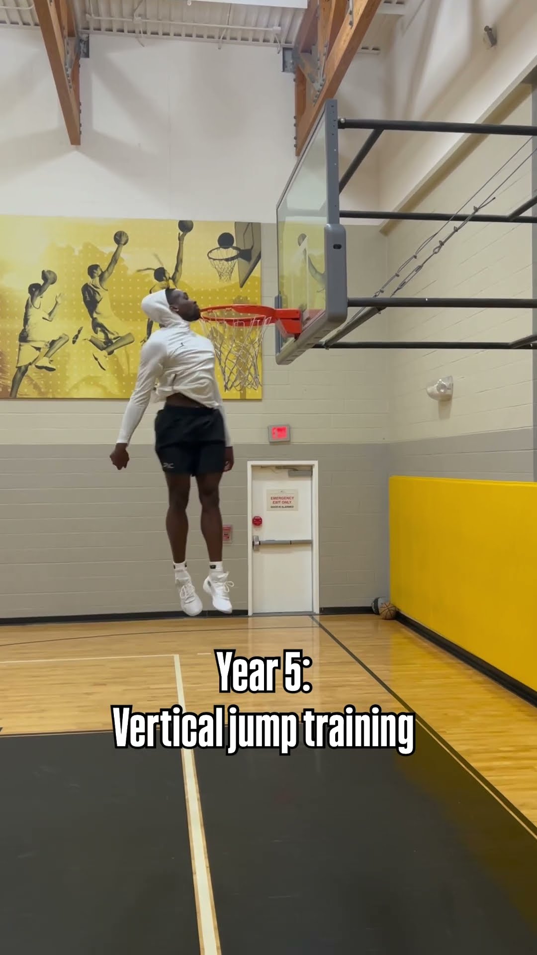 My vertical jump transformation (world record)