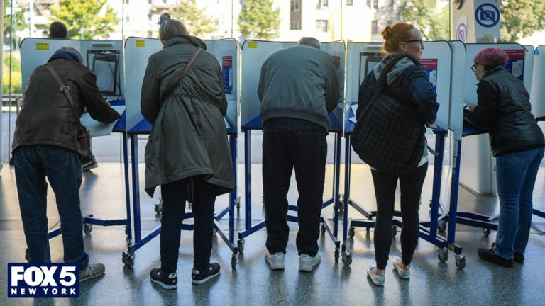 What is on the New York ballot this election? Breakdown, races to watch