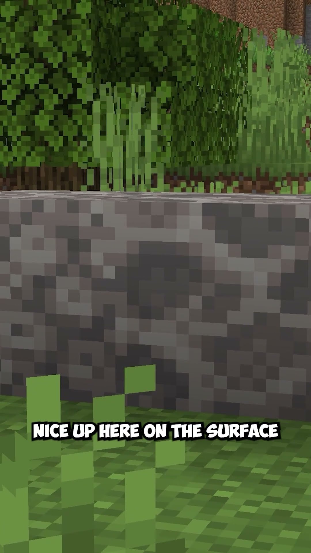 Dead coral block uses for pathways and structures in Minecraft
