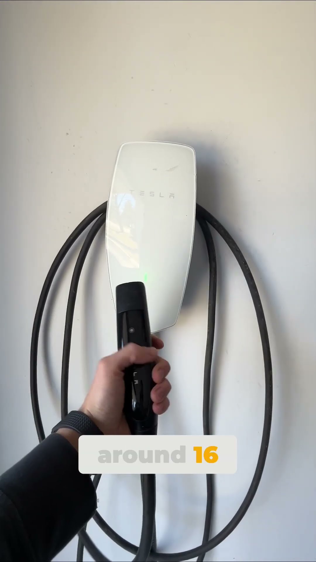 Tesla battery health check tutorial