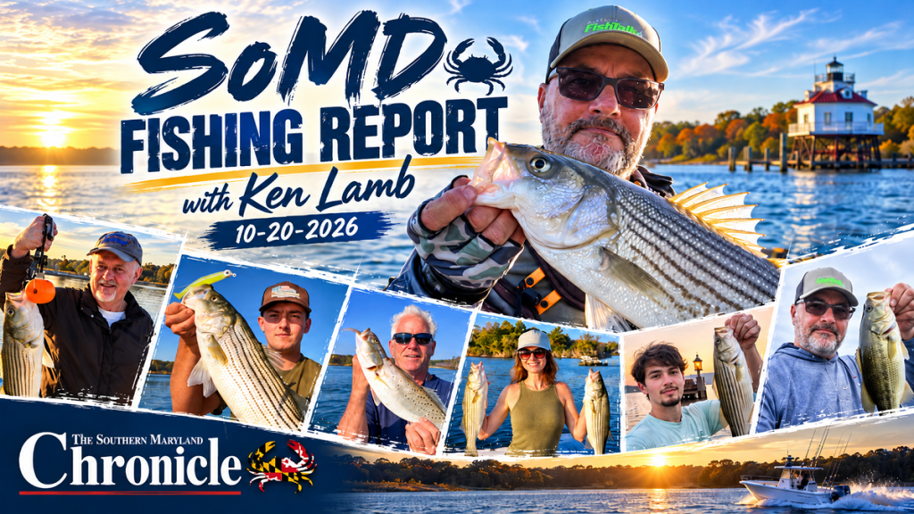 Cold snap pushes spot, blues south; rockfish take over