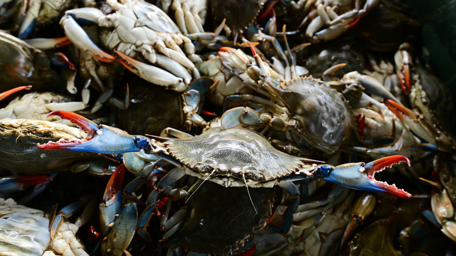3,000 pounds of snow crab stolen from Philadelphia truck