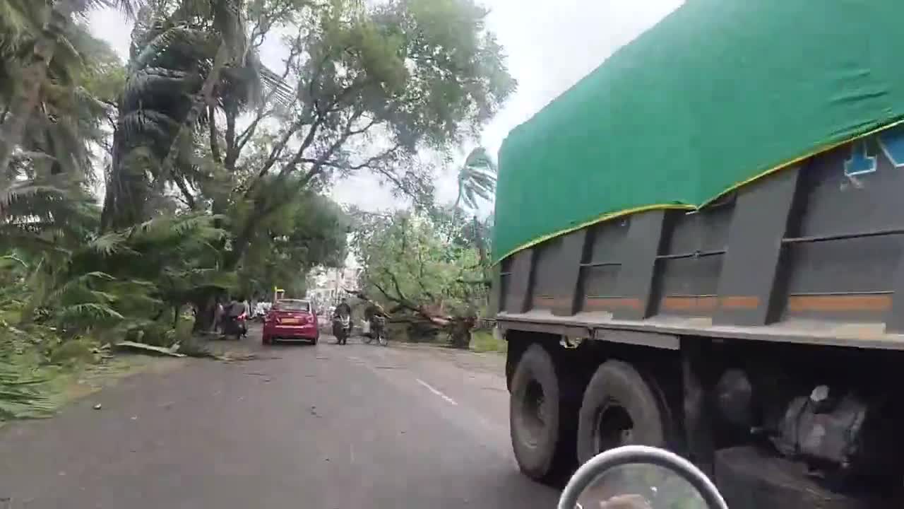 Cyclone Arnab leaves fallen trees and debris across streets in India