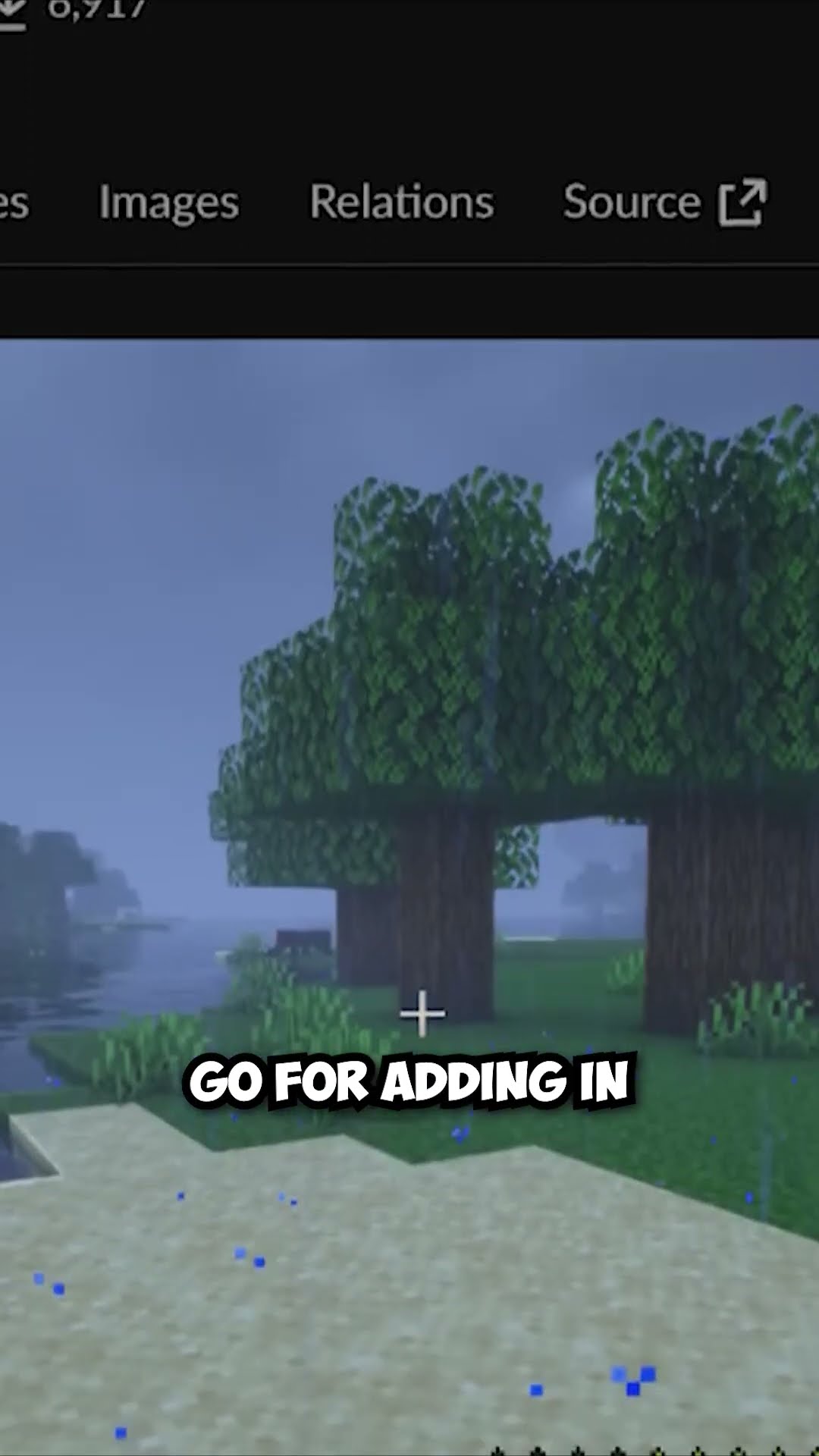 Thirst in Minecraft