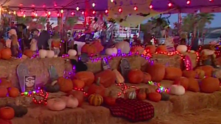 Giant pumpkins and Halloween fun at Vegas pumpkin patch