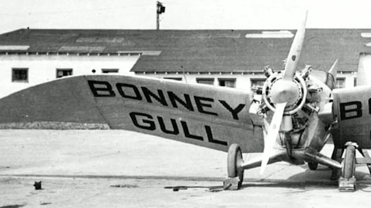 Bonney Gull: A seagull-inspired plane that failed