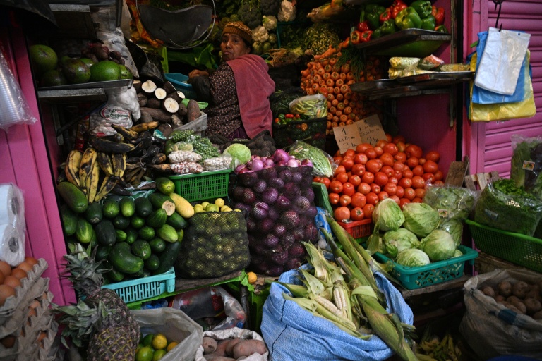 World Bank warns of worsening food insecurity as commodity prices soar