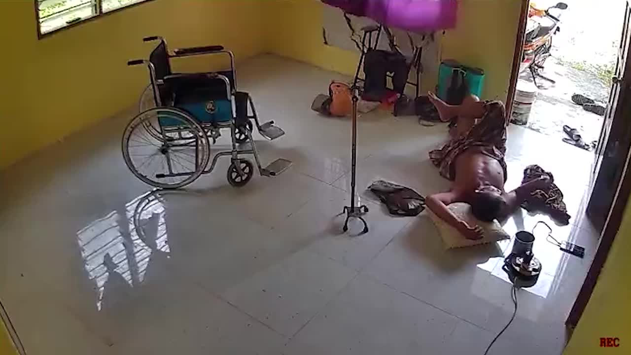 Homeowner jolted from sleep by snake slithering into house in Malaysia
