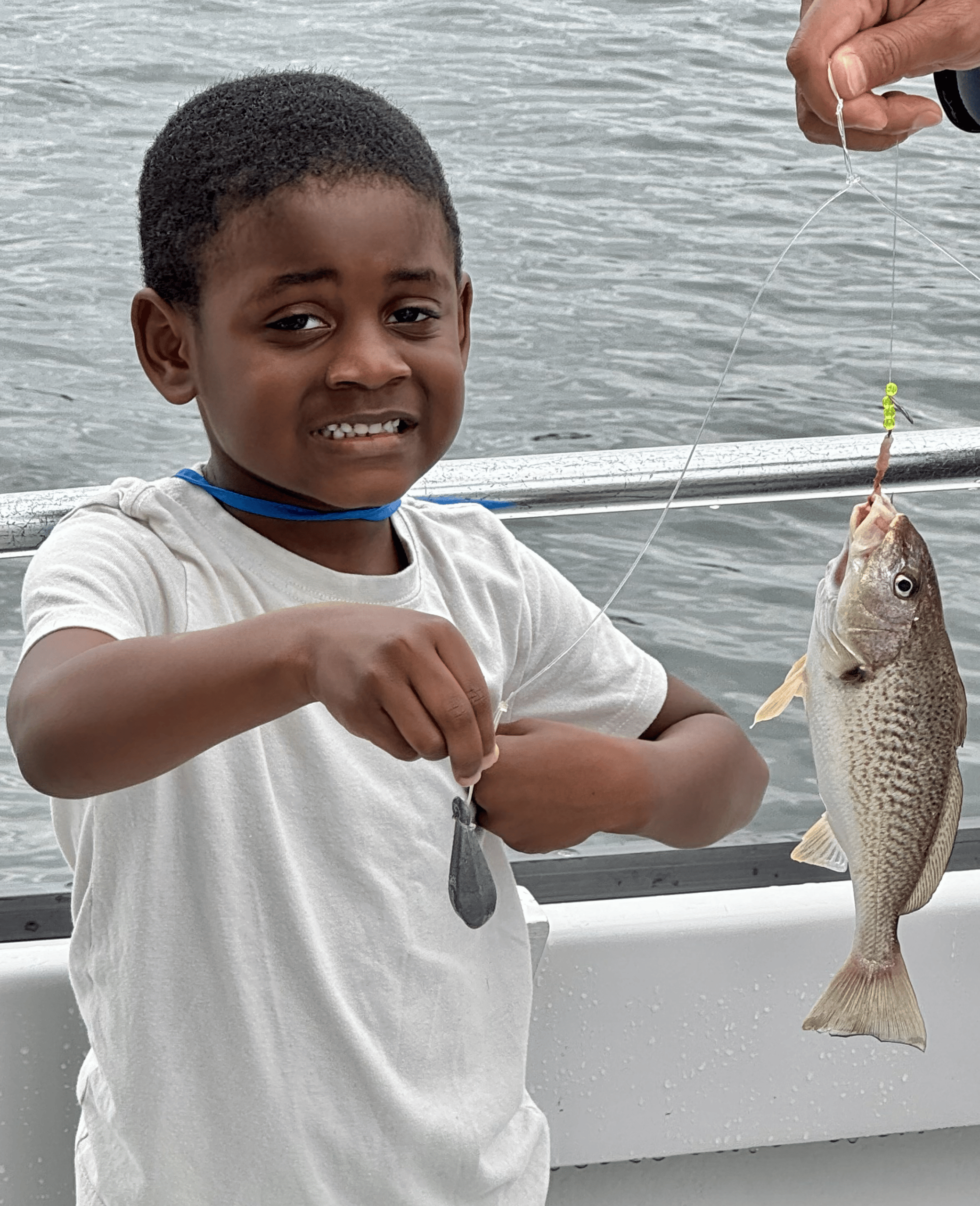 Summer fishing heating up with red drum, cobia, and rockfish reports