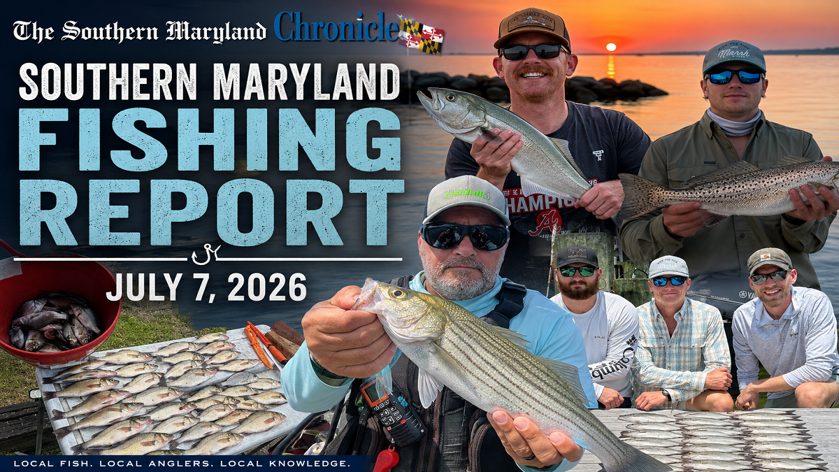 Good catches reported in Potomac, Patuxent and St. Mary’s River