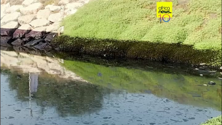 Oil slick from Strait of Hormuz reaches UAE's northern coast