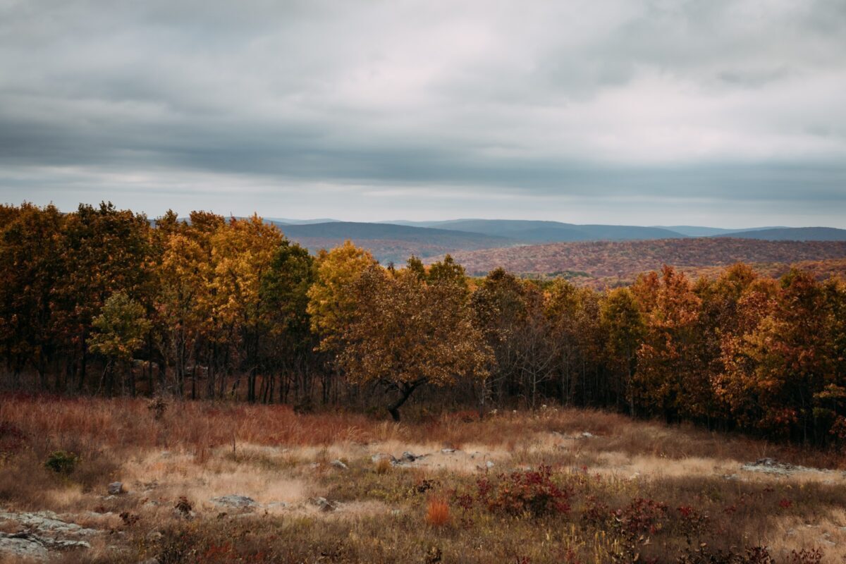 3 Missouri state parks you can explore in a single trip