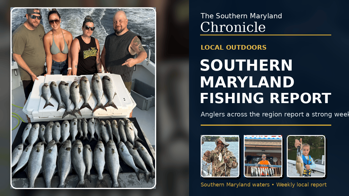 This week's fishing report: spot, cobia and crabs