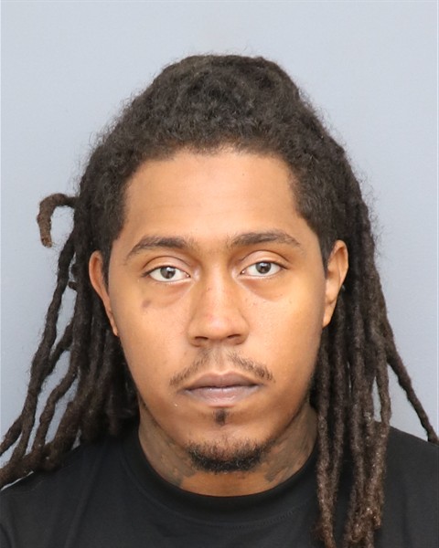Chaotic early-morning arrests net guns, drugs in Waldorf
