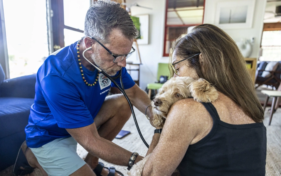 Experts warn subtle signs may reveal your dog is in pain