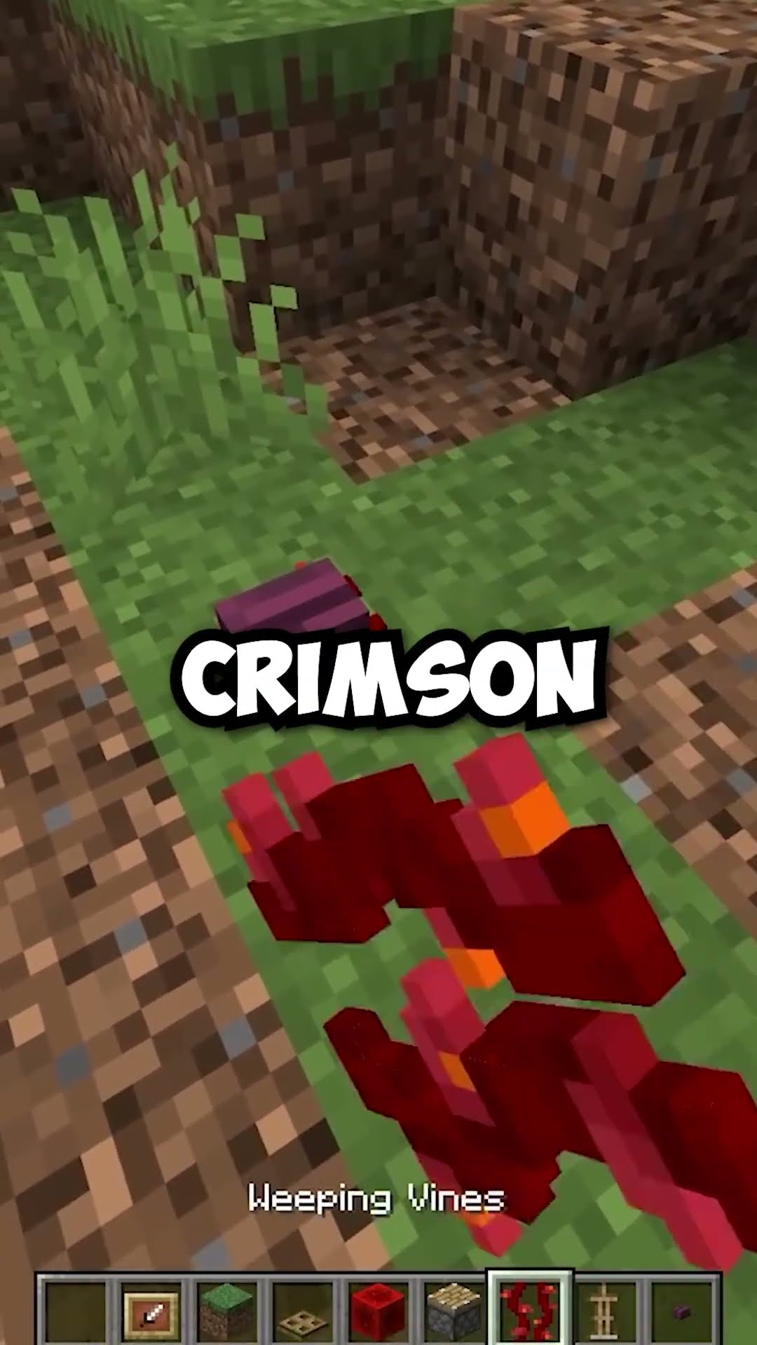 Minecraft added in bugs