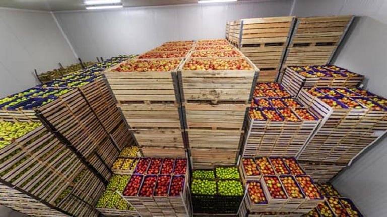 Charles, St. Mary's businesses win cold-storage grants