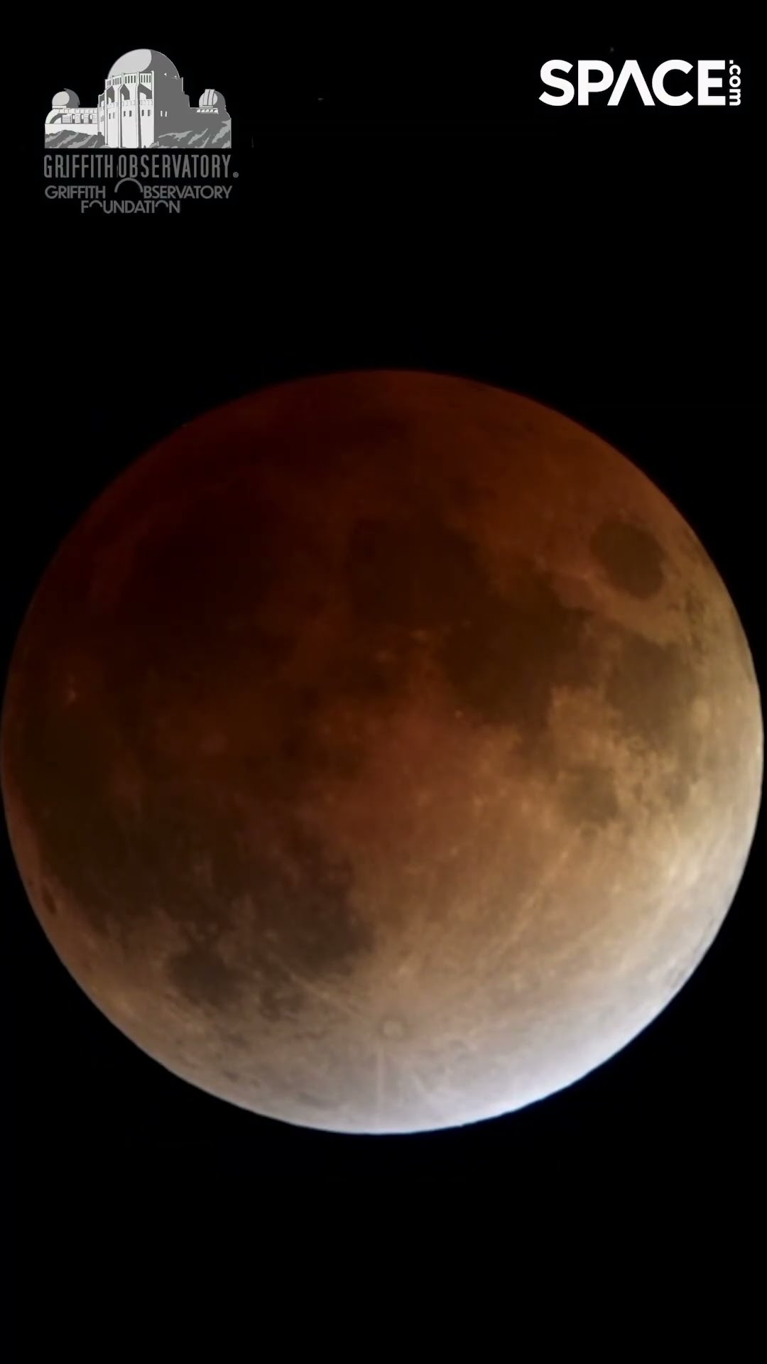 Stunning blood moon lunar eclipse time-lapse captured by Griffith ...