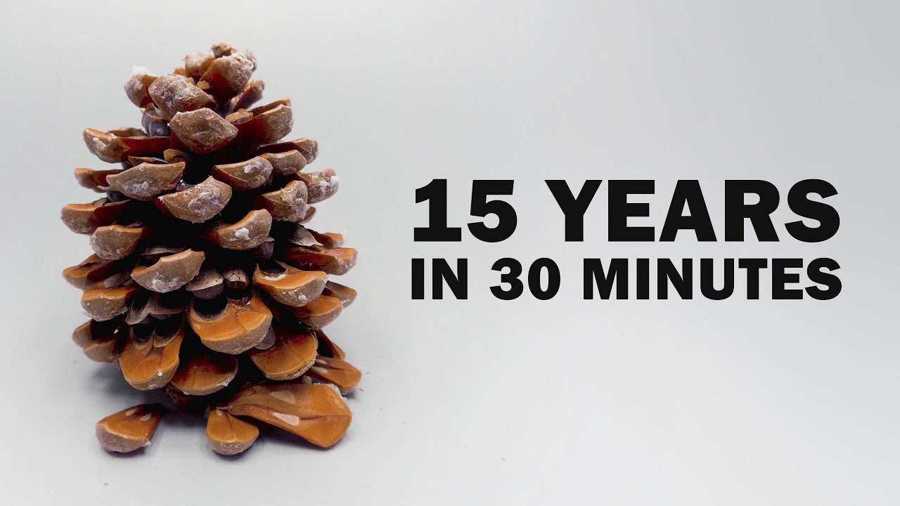 15 years of filming plants: Watch nature transform