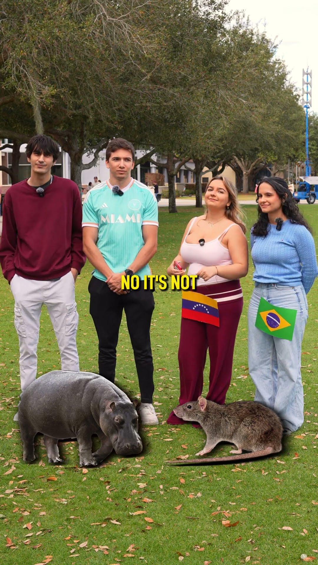 Guess the animal - Boys vs Girls edition