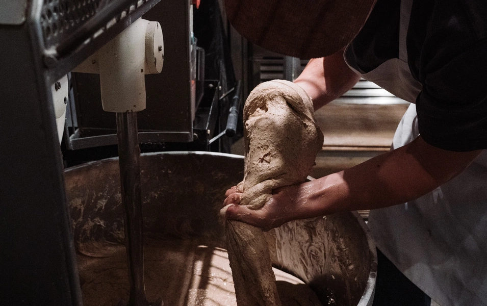 Master the art of whole wheat bread