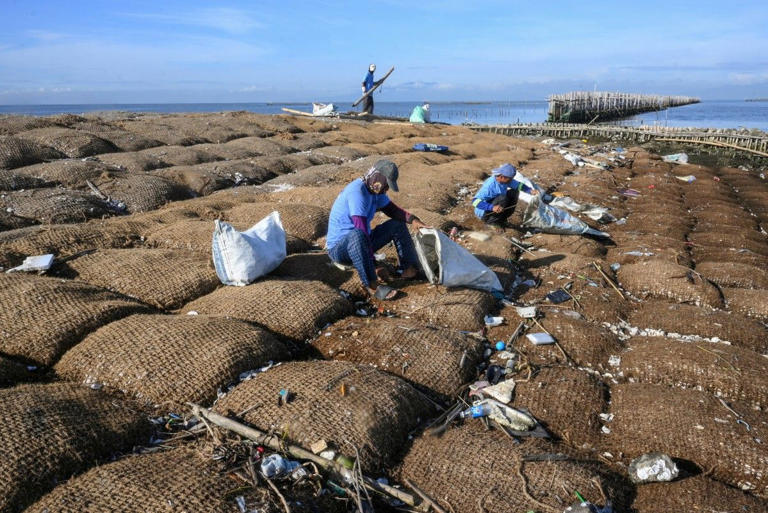 Philippine island fights rising seas with nature, not concrete