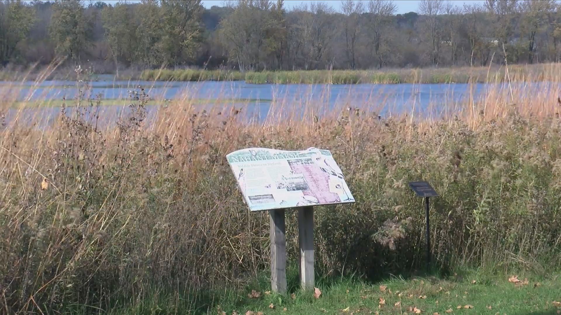 Nahant Marsh named Silos & Smokestacks National Heritage Area site