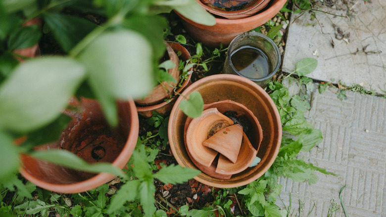 Don't let broken terracotta pots go to waste: use them for a DIY walkway