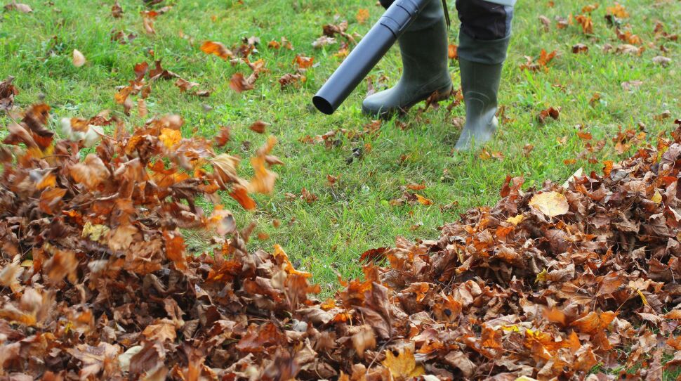 7 cordless leaf blowers actually worth the money