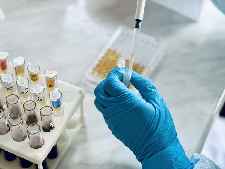 These health subscriptions test 100+ biomarkers. Here's what they cost ...