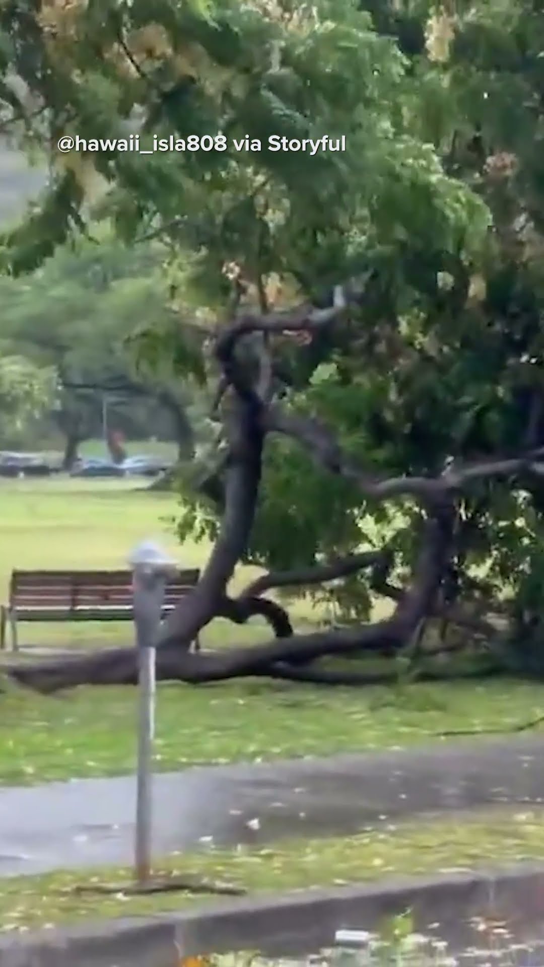 Hurricane Lala hits Hawaii leaving behind trail of destruction ...