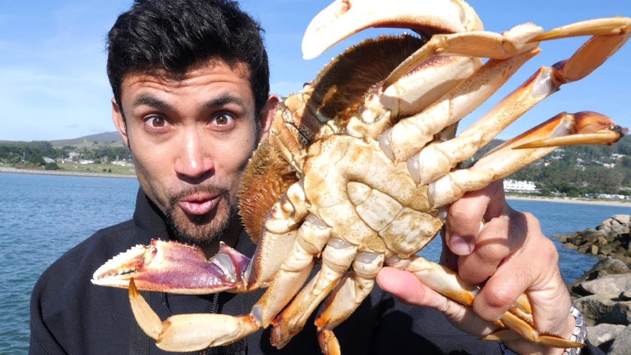 Catch and cook: Delicious Dungeness crab on the rocks!