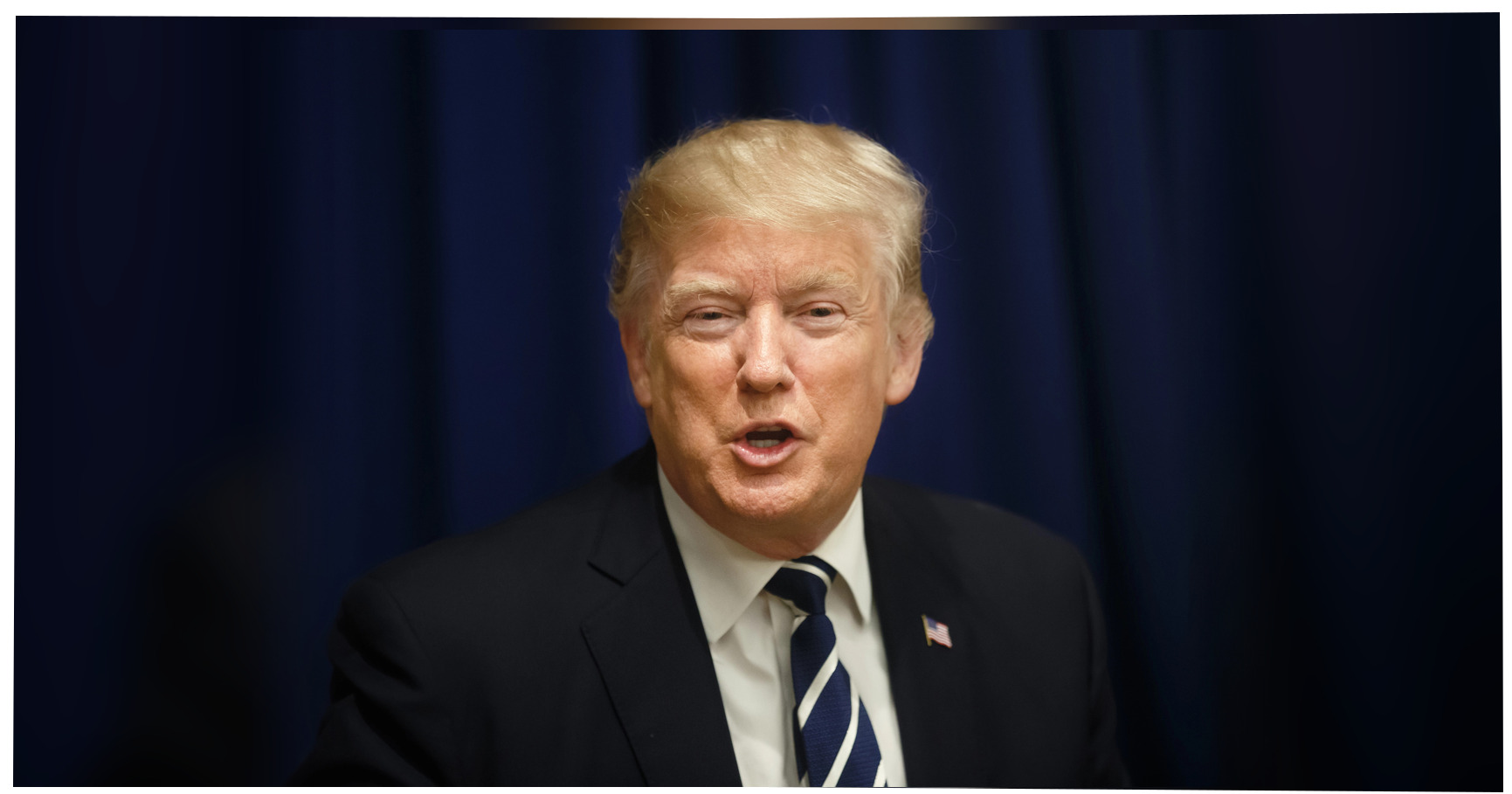 Trump says animals that land on solar panels fry because those black ...