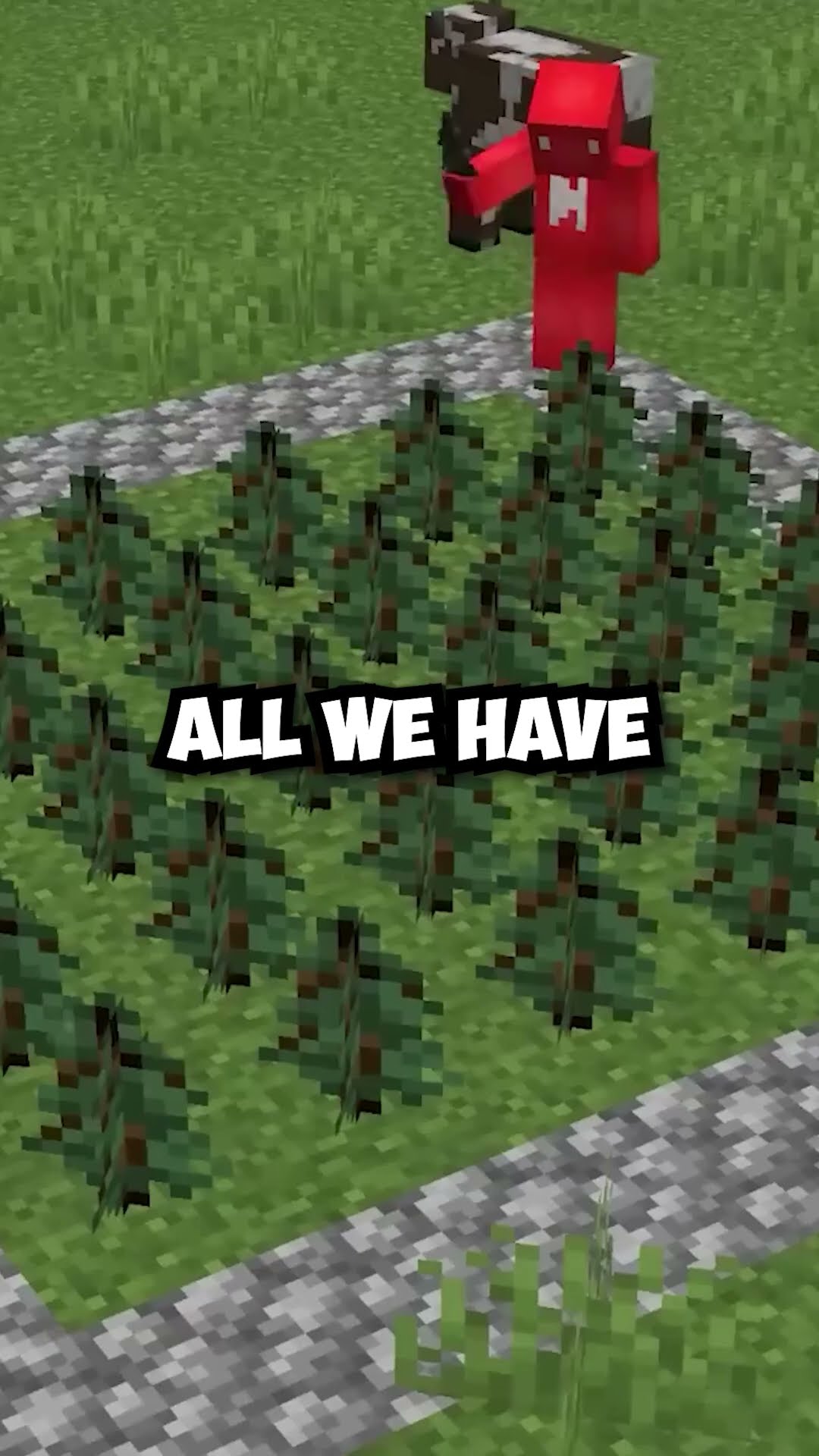 Spruce saplings are better than oak trees