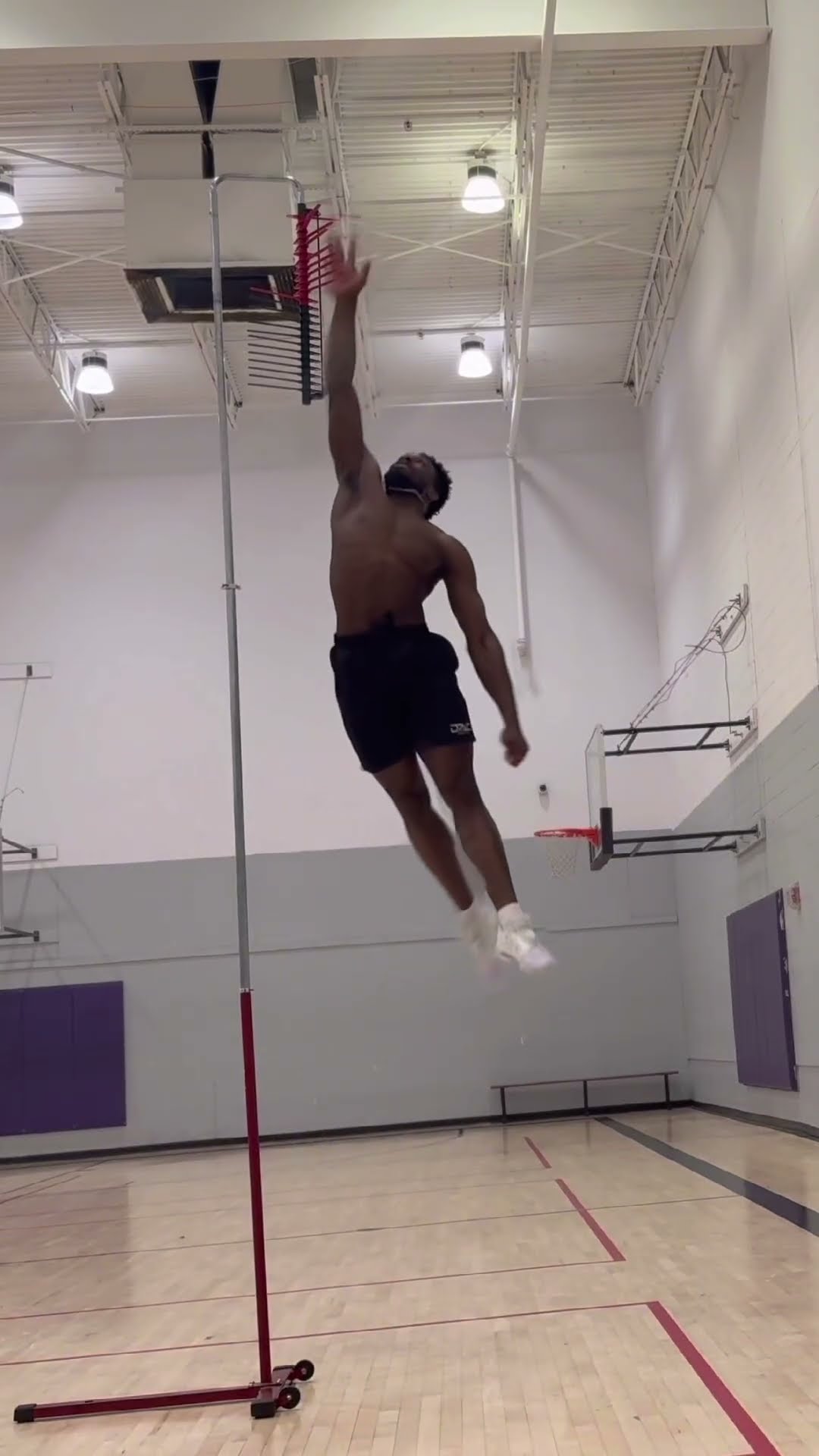 Highest vertical jump in the world