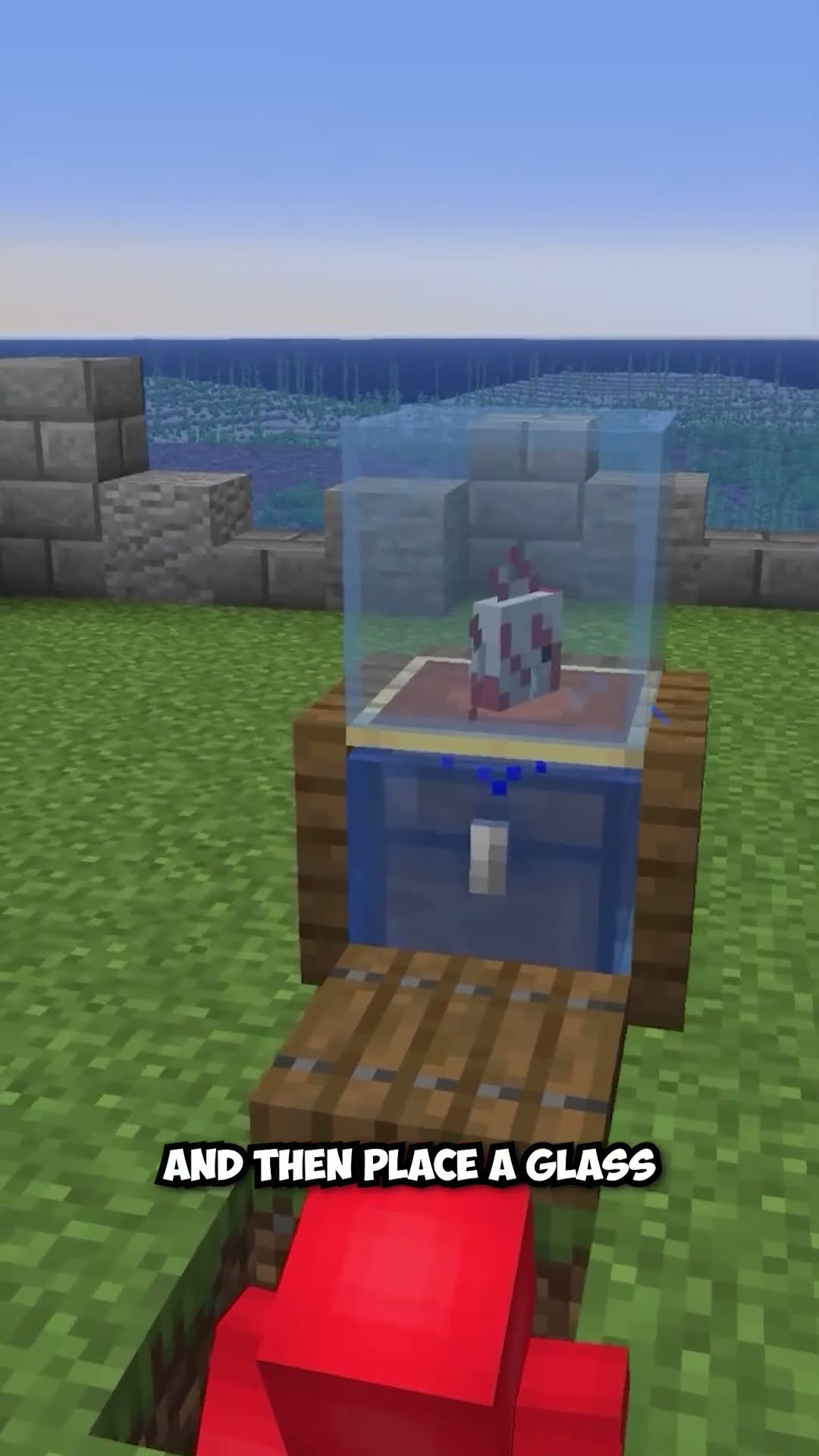 Fish tank
