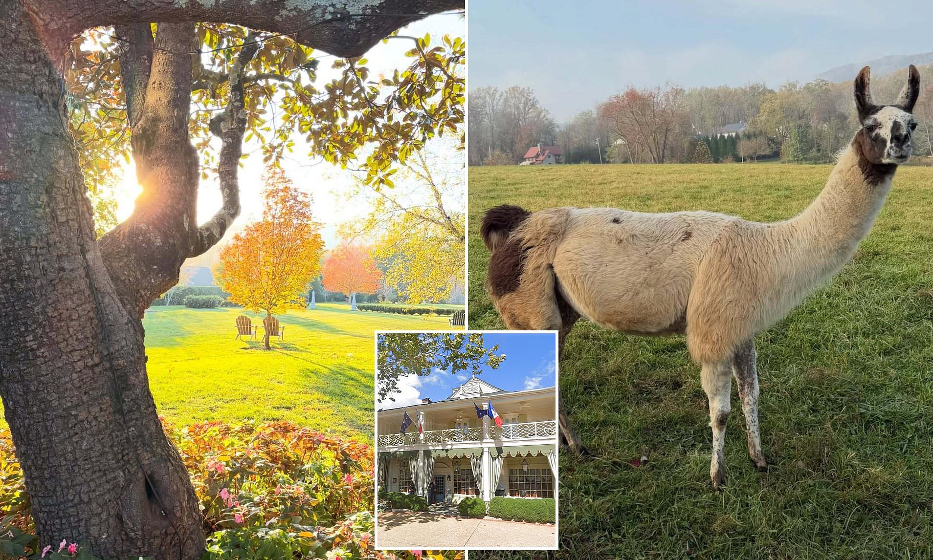 Ivanka Trump offers glimpse into luxury country getaway where stays cost up to $5,710 per night