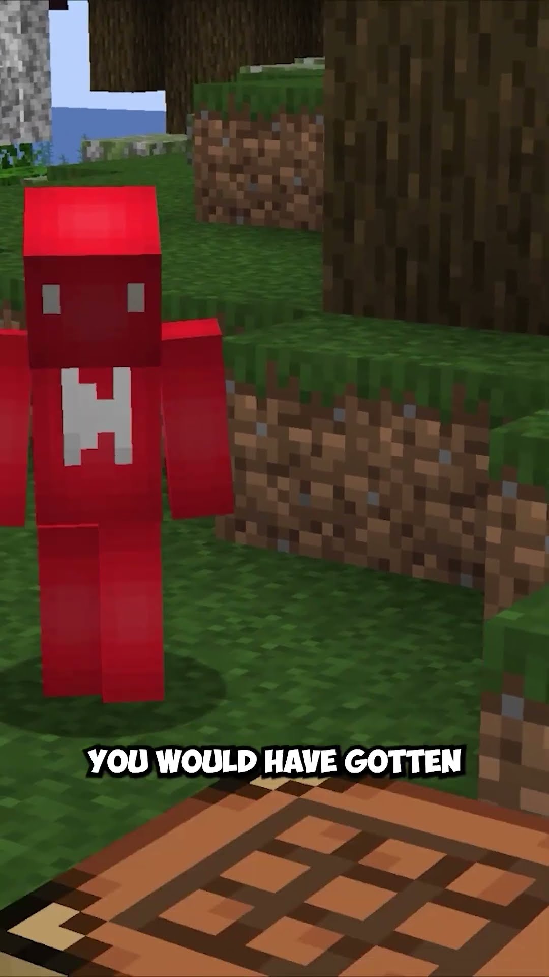 Minecraft wooden planks evolution over time