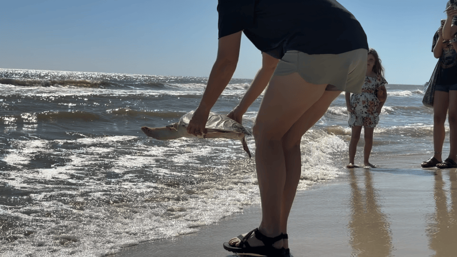Florida Panhandle Marine Institute releases Z-Boo