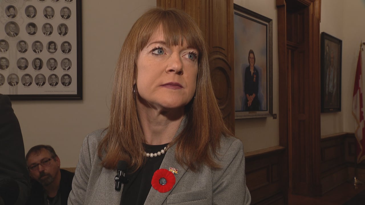 French immersion entry points will be locked in under new NB law