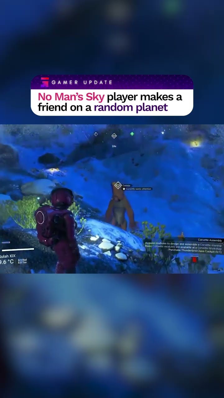 No Man's Sky player makes a friend on a random planet