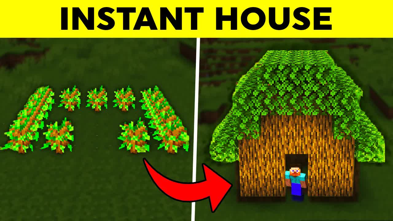 Cheap Minecraft hacks!