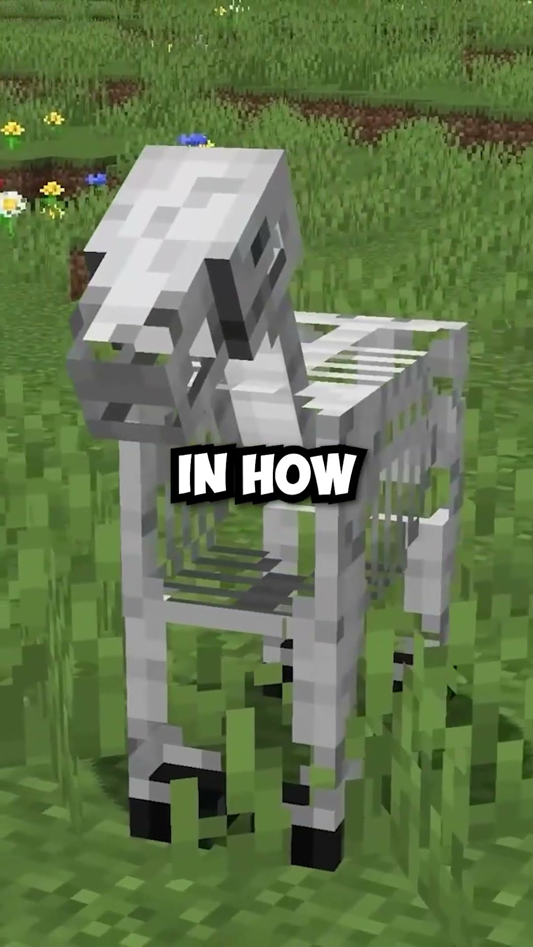 Minecraft horse model change: why players hated it