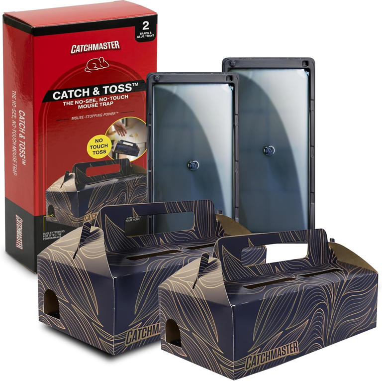 The best mouse traps for your home, according to pros